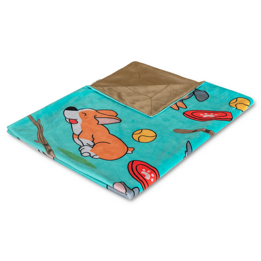 Frisbee Design Pet Blanket
