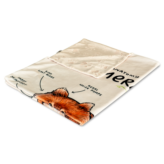 Pomeranian Pet Design Blanket