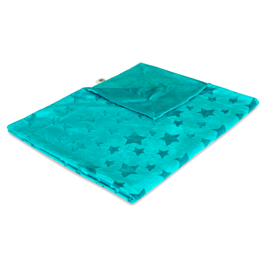Green star-patterned pet blanket